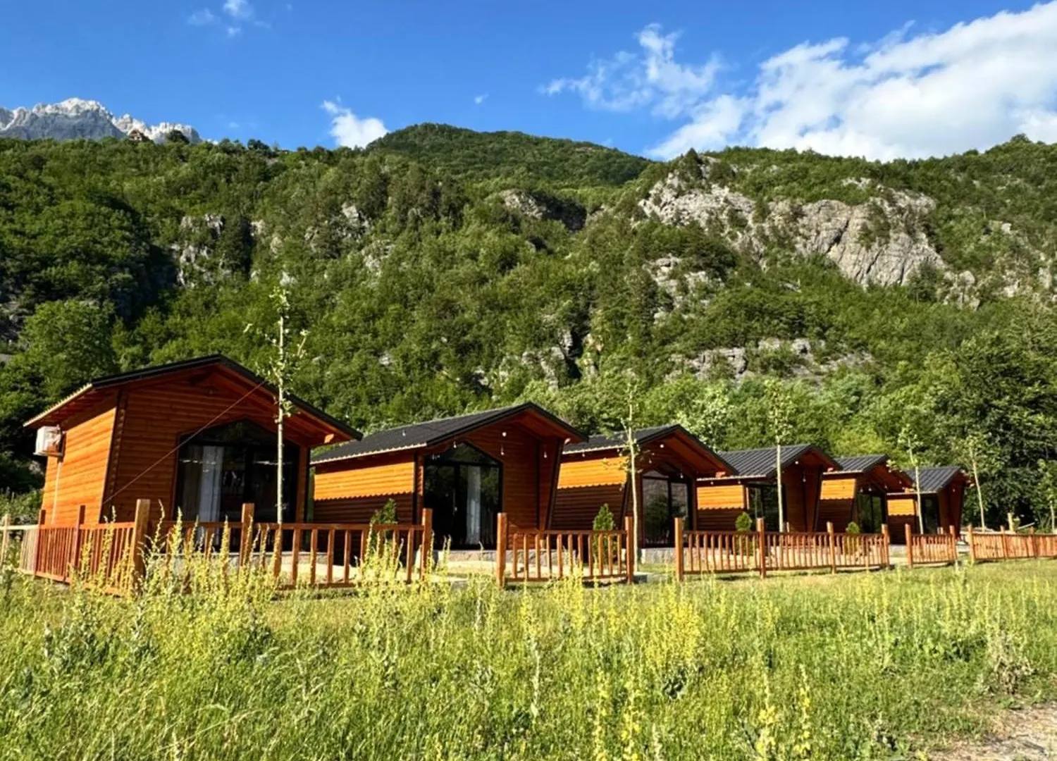 Alpinehouse Hotel Theth Guest house