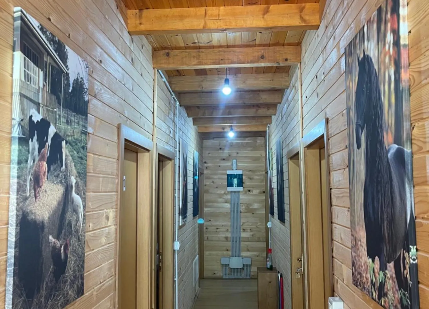 Alpinehouse Hotell Theth Pensionat