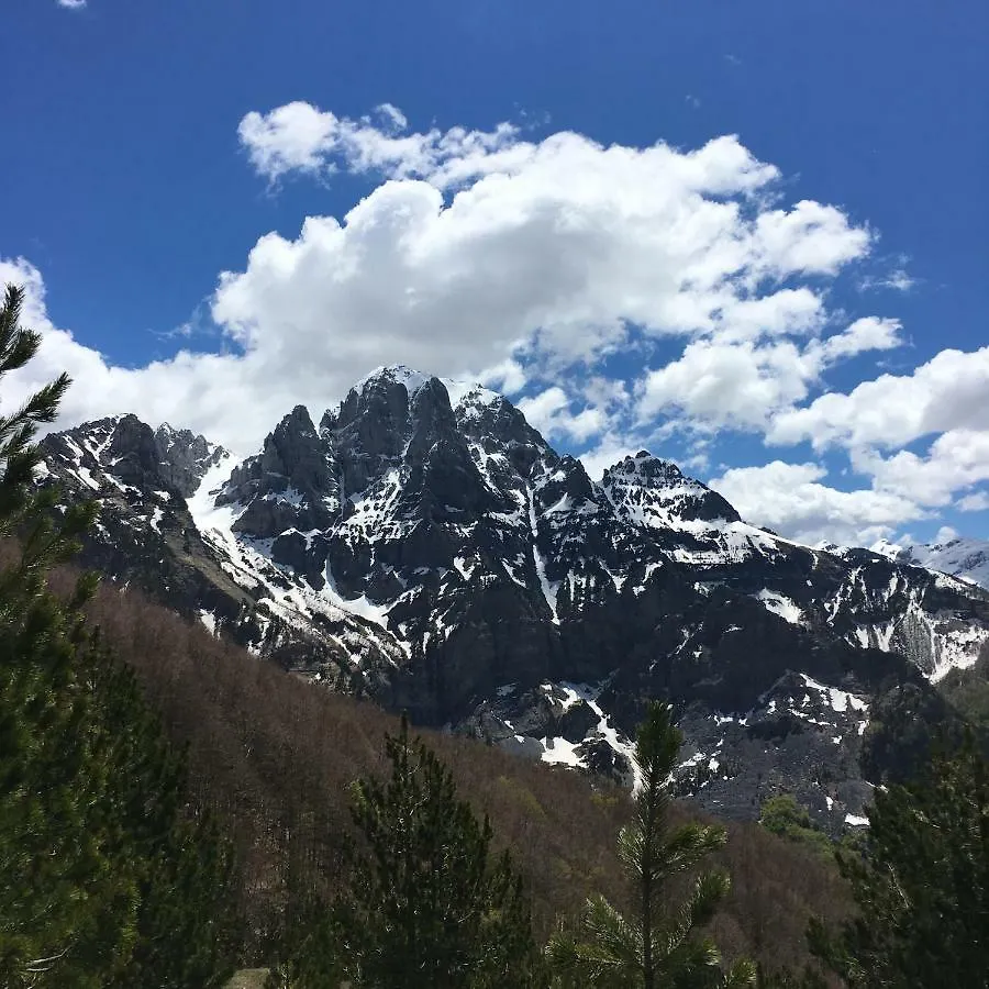 Отель Alpinehouse Тети 2*,  Албания
